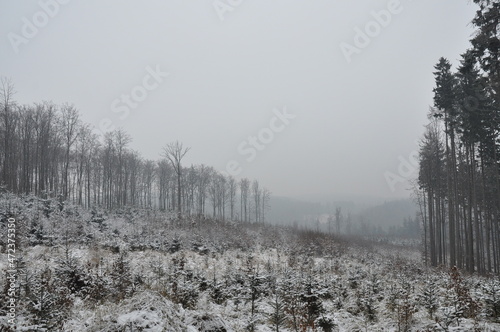 Hiking in Chriby Hills, proper winter conditions