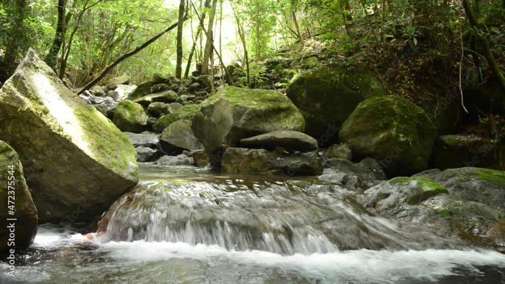 森の下のなめらかな斜面を流れる川 森の下のなめらかな斜面を流れる川