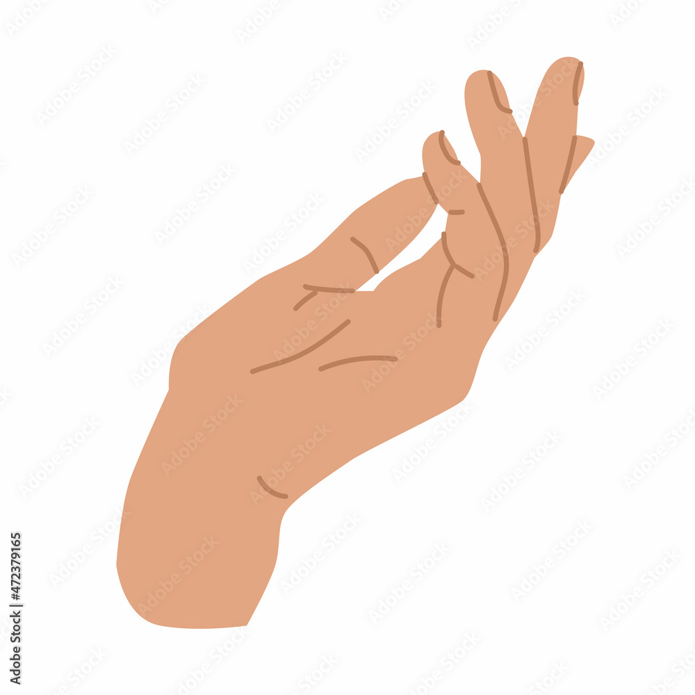 Elegant woman Hand gesture. Flat style in vector illustration. Isolated on white background element. Body language, non-verbal, fingers, palms, holding, catching. Use for promotional offers. Elegant woman Hand gesture. Flat style in vector illustration. Isolated on white background element. Body language, non-verbal, fingers, palms, holding, catching. Use for promotional offers.