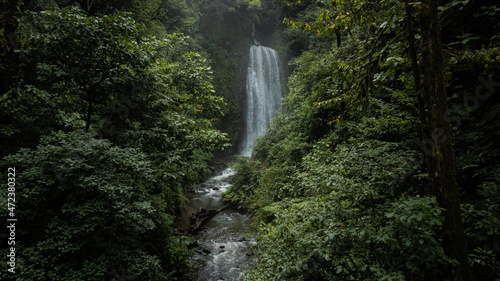 Falls in the rain forest. Nature image