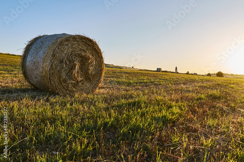 Summer landscape in Matera wheat fields, south Italy. Sunset in the sky.