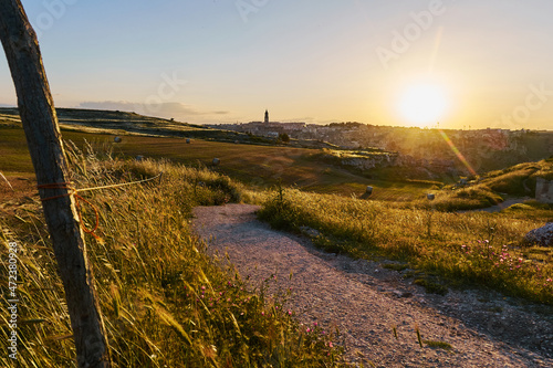 Fotografie Summer landscape in Matera wheat fields, south Italy