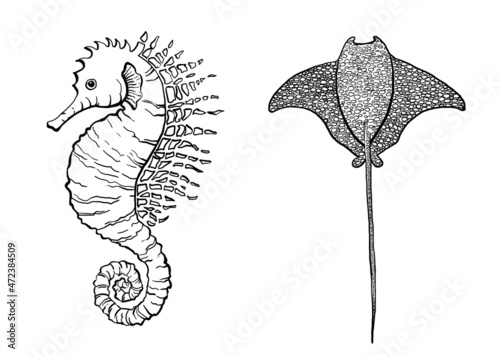 Foto Marine animals in linear style
