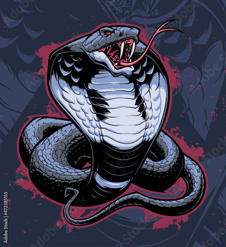 Vector illustration of stylized snake cobra on the dark blue abstract background. photo