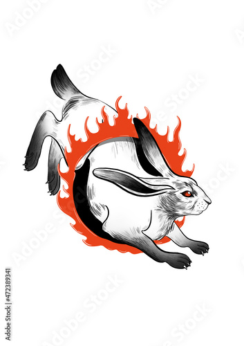 Hand drawn illustration of hare, jumping through the fire circle 