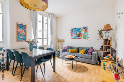 Salon d'un appartement Parisien avec décoration moderne 