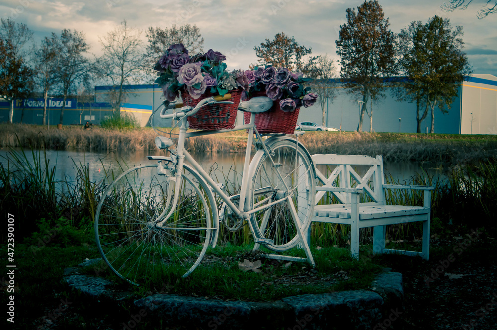 bicycles in the park with flowers