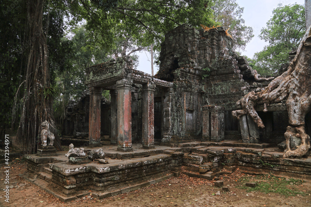 Fototapeta premium Ta Prohm Temple, Angkor, Cambodia