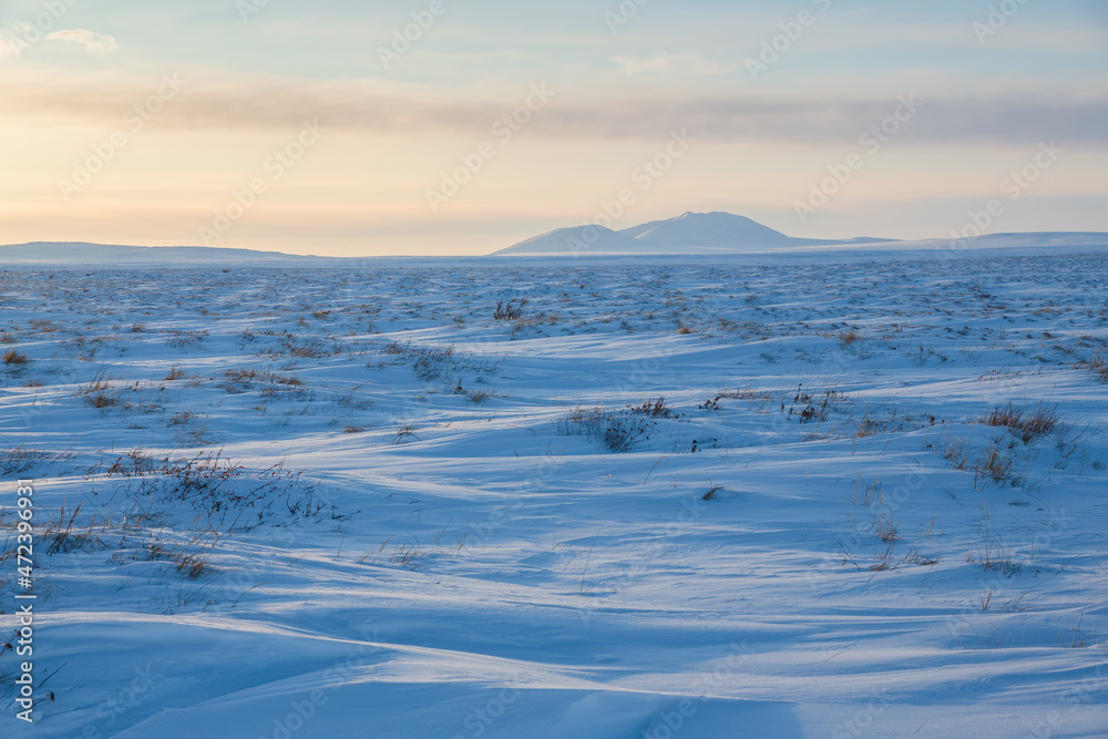 View of the snow-covered tundra and snow-capped mountains. Winter arctic landscape. Cold frosty winter weather. Arctic desert. Northern nature of polar Siberia and Chukotka. The Far North of Russia.