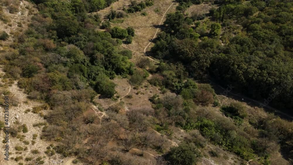 Video from a height and lowering the camera down, filming a view of the forest. Video from a height and lowering the camera down, filming a view of the forest.