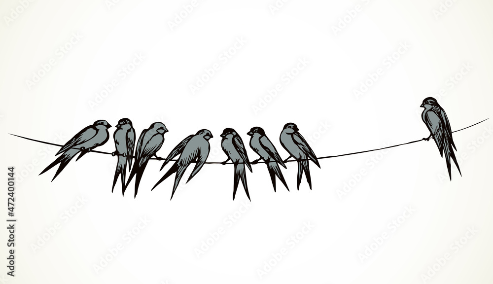 Fototapeta premium Swallows are sitting on a wire. Vector drawing