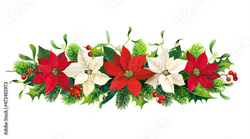 Border with red and white poinsettia, fir and holly branches. Floral Christmas decoration. Isolated on white. Vector illustration. 