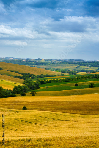 Rural landscape near Santa maria Nuova and Osimo, Marche, Italy
