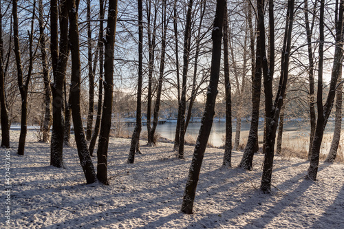 Fototapeta Naklejka Na Ścianę i Meble -  Zima nad zalewem Czapielówka w Puszczy Knyszyńskiej, Podlasie, Polska