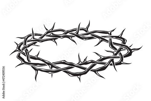 black crown of thorns image isolated on white background