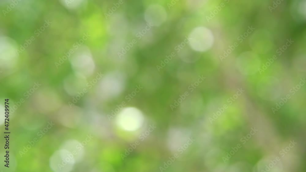 Colorful bokeh background. Business blurry wallpaper. Abstract soft texture. Dreamy sunlights unfocus. Card decoration. Glamour backdrop. Green color. Horizontal Colorful bokeh background. Business blurry wallpaper. Abstract soft texture. Dreamy sunlights unfocus. Card decoration. Glamour backdrop. Green color. Horizontal