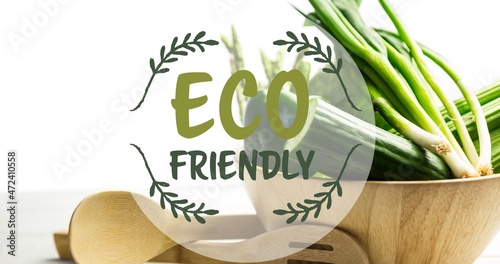 Close-up of eco friendly symbol text over fresh vegetables in bowl