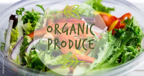 Digital composite image of organic produce symbol text over bowl of fresh salad