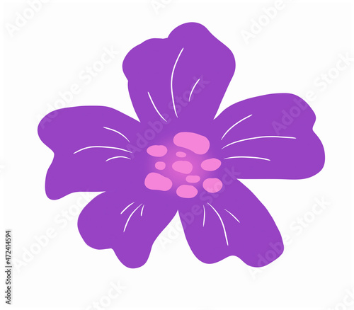 A purple and pink flower illustration
