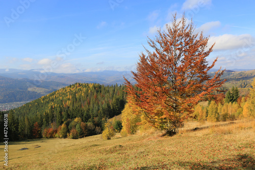 autumn in mountains