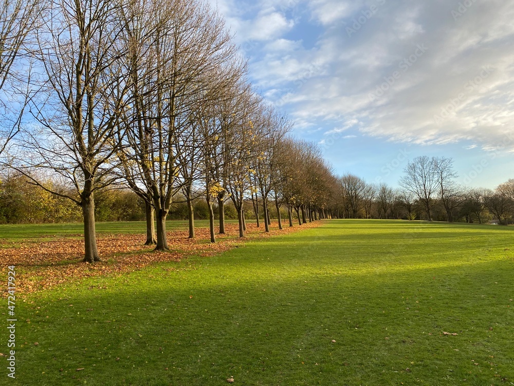Naklejka premium Autumnal landscape, naked trees in the park at the end of the day, Autumn long three shade, suggestive UK landscape