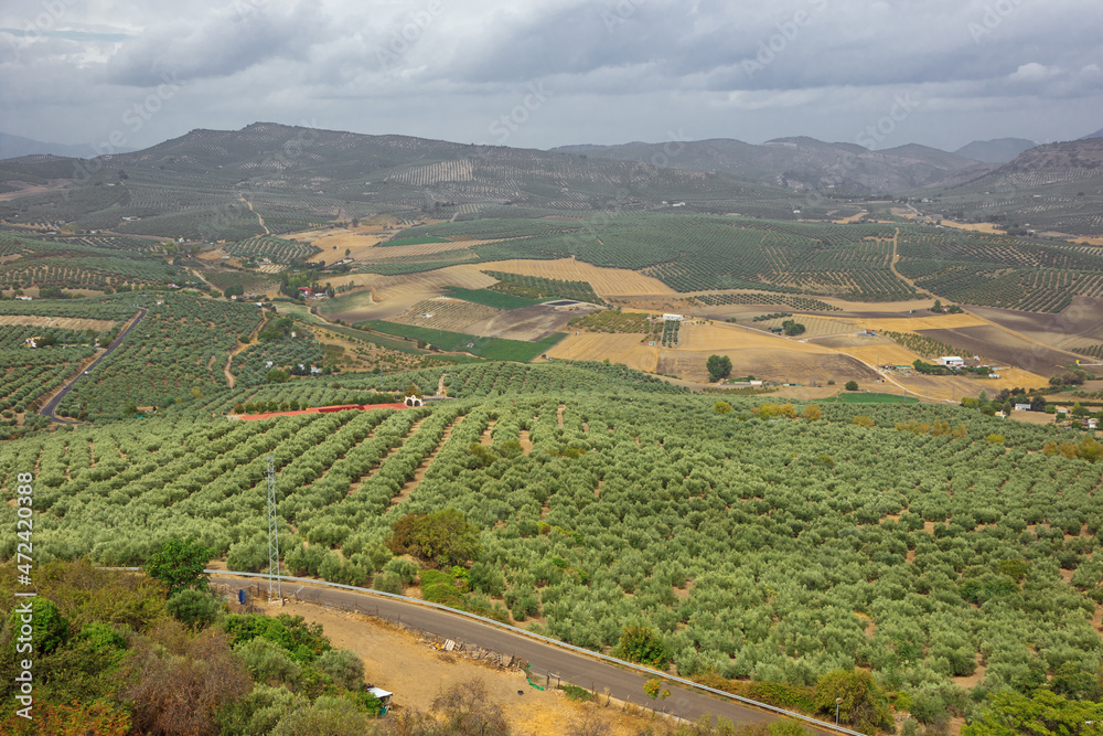 Olive groves around Alcala la Real, seen from the La Mota fortress above the city