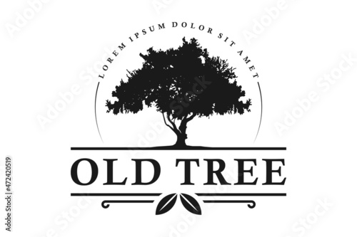 Old Oak Maple Tree Silhouette. Residential landscape vintage logo design
