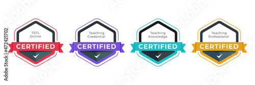 Digital badge certified for professional teaching category. Vector logo certificate icon design template.