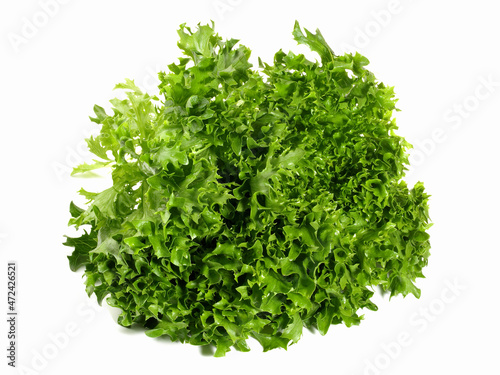 Frisee - Curly Escarole Salad isolated on white Background