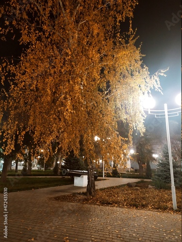autumn in the city