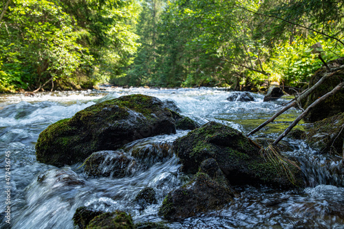 Felsen im Fluss