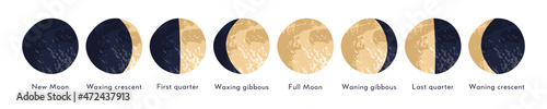 Moon phase, lunar cycle, synodic month. Lunary visible side. New and full moon, waxing and waning crescent, first and last quarter, gibbous. Astronomy, astrophysics. Vector flat cartoon illustration