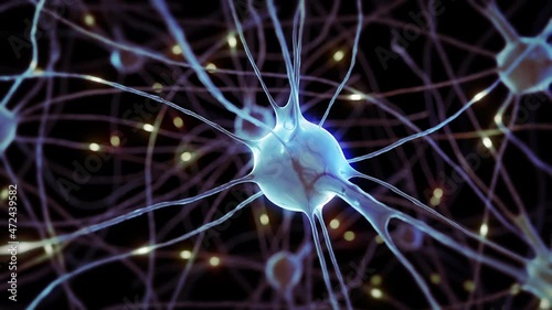 Nervous system and synapse impulses of brain neurons and axons with microscope. Research of the nerve cells, activity inside the human brain, structure of memory cells in the science laboratory.