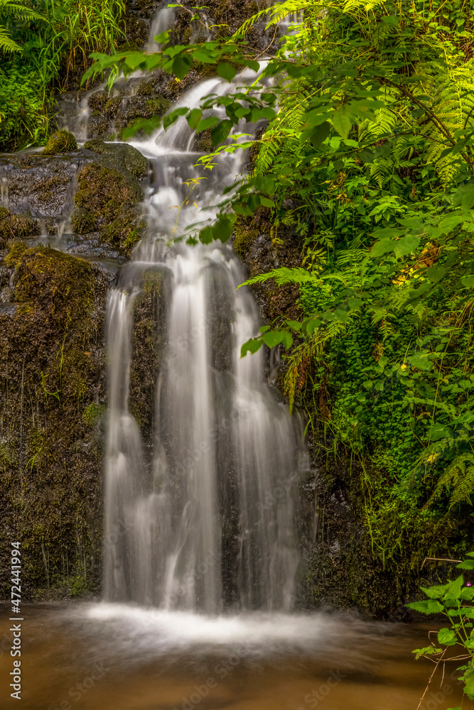 Cascade dans les Vosges France