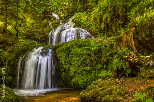 Cascade dans les Vosges France