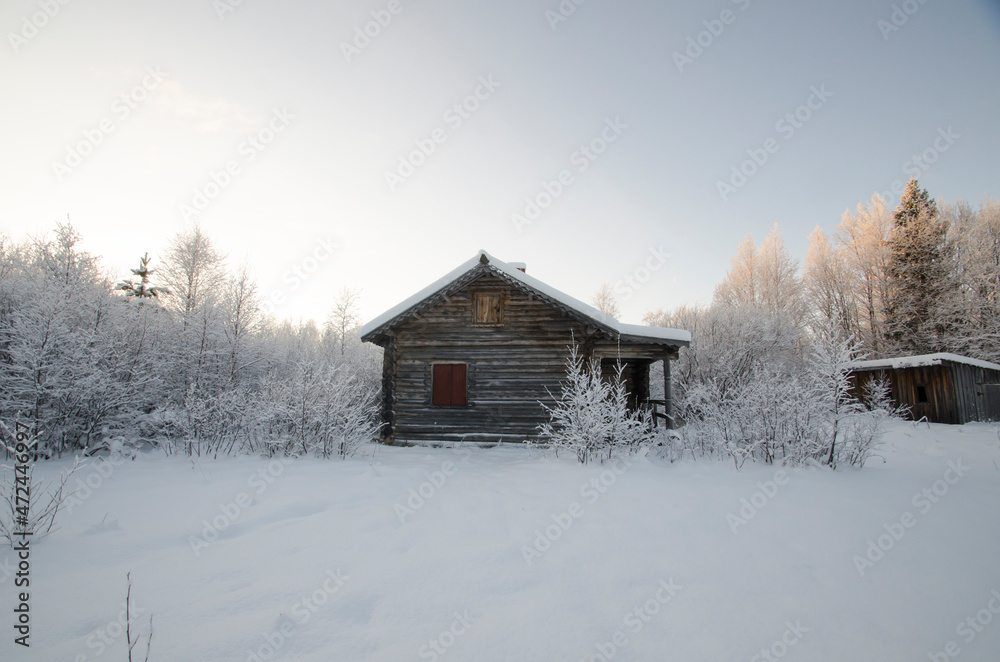 Wooden house in a snowy forest 