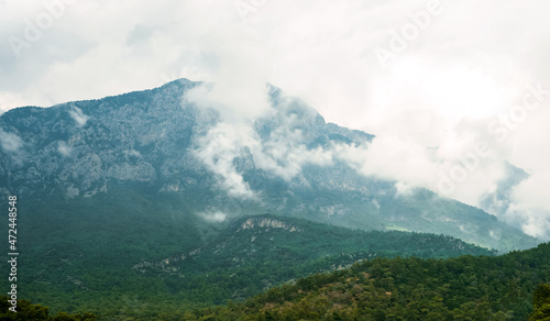 Mountains covered with green trees on a background of cloudy sky with thick fog