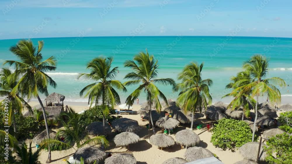 Tall green slender palms against the backdrop of the turquoise endless ocean. The sultry sun makes you hide under the beach umbrellas. White warm sand of the Dominican Republic. Tall green slender palms against the backdrop of the turquoise endless ocean. The sultry sun makes you hide under the beach umbrellas. White warm sand of the Dominican Republic.