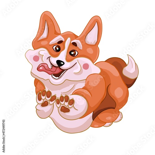 Welsh Corgi. A cheerful dog jumps with its tongue hanging out. Funny print for T-shirts  notebooks  covers  bags  mugs  postcards  textiles.   White background.