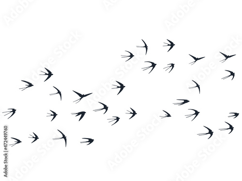 Flying martlet birds silhouettes vector illustration. Migratory martlets bevy isolated on white.