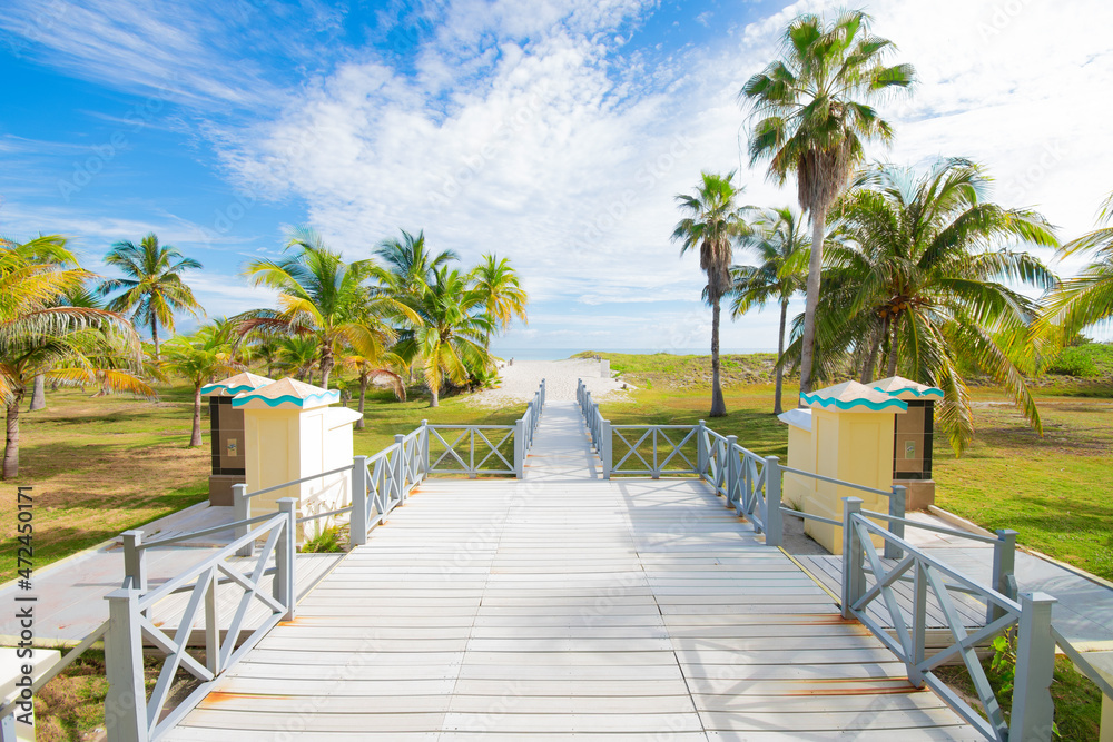 Fototapeta premium beautiful view of the beach and ocean.