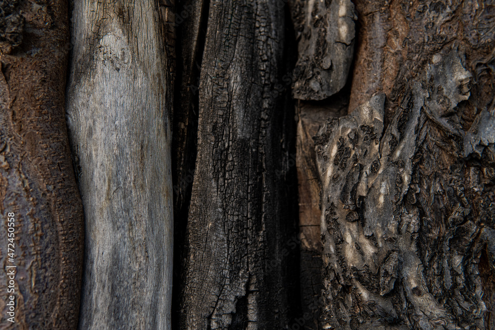 exture of tree bark, aged wood, chips, cracks, moss, photophone for screensaver and print exture of tree bark, aged wood, chips, cracks, moss, photophone for screensaver and print