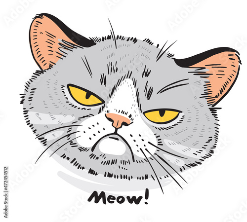 Hand drawn cat portrait. Sad cat face. Cartoon characters. Funny vector illustration. Isolated on white background