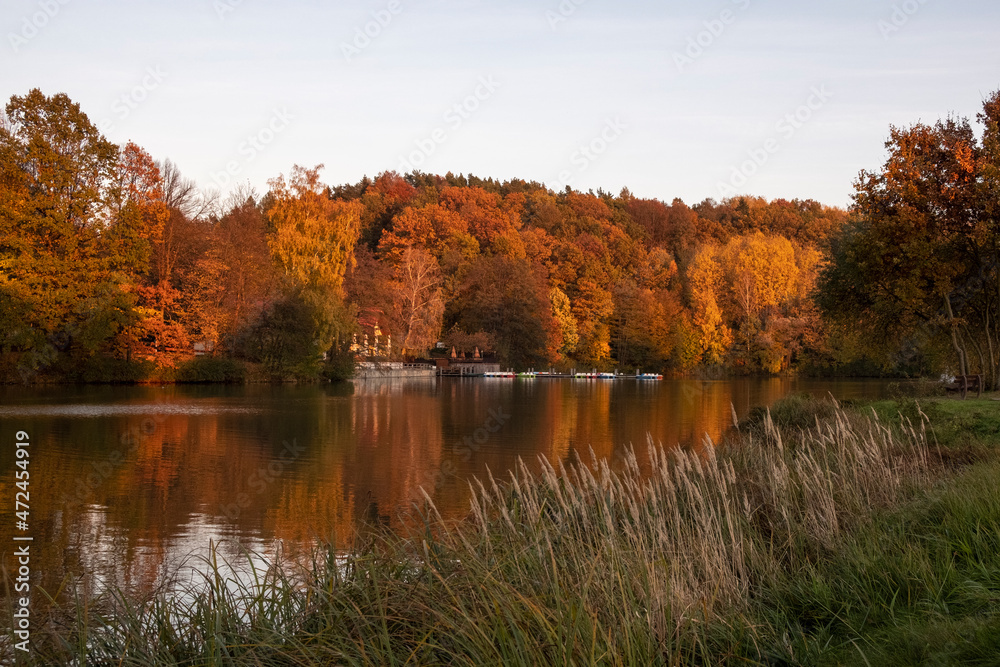 Herbstlandschaft am Stausee 