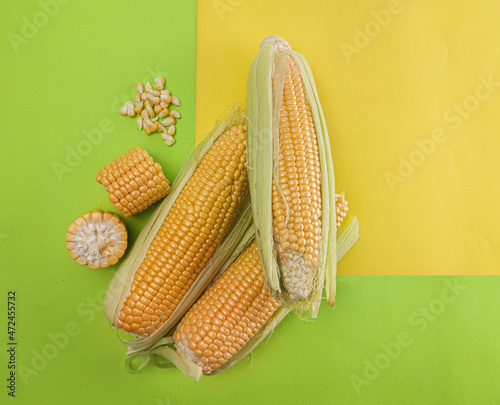 Fresh sweet corn on cobs on yellow  and green background, closeup, top view