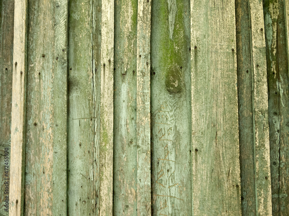 Fototapeta premium Part of a green wooden fence with vertical panels. Rough uneven surface.