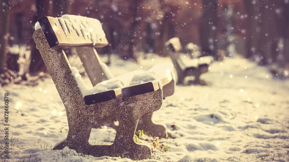 Bench in the park and snow time.