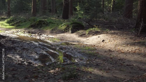 Path in the forest changed to a muddy impassible path because of all the rain. Panorama. photo