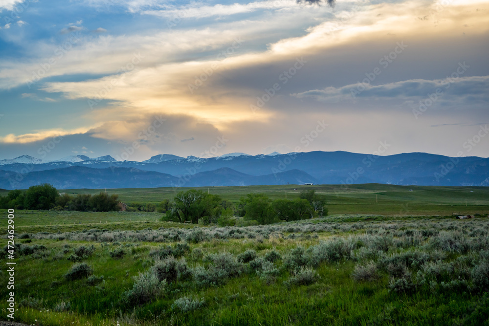A view of nature in Mikesell Potts Recreational Area, Wyoming