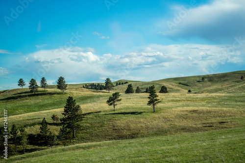 A view of nature in Custer State Park  South Dakota